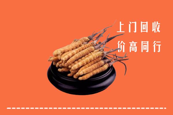 高价求购：盐津县回收散虫草