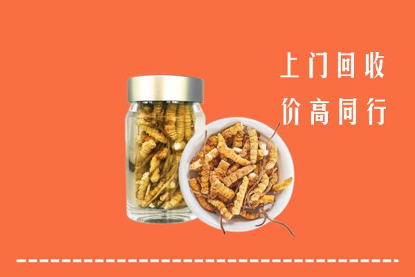 盐津县回收冬虫夏草